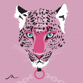 Screenshot-2020-08-07-at-13.01.08